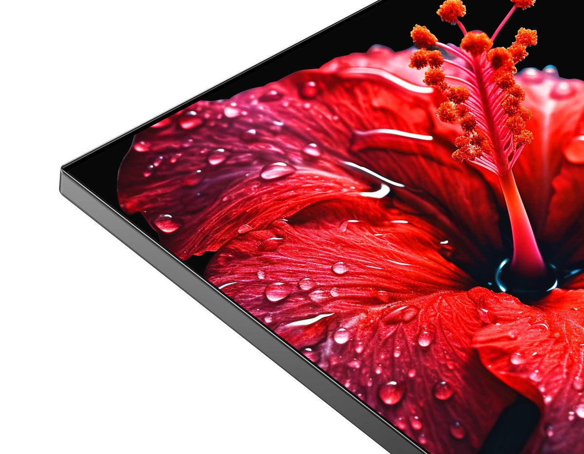 Fullview Frameless Design